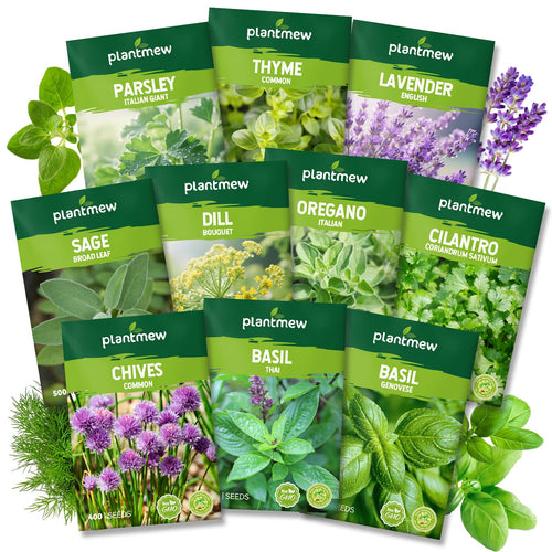Discover premium imported Herb Seeds Variety Pack from Curat Cart, featuring popular herbs like Basil, Oregano, and Thyme. Perfect for gardening enthusiasts.