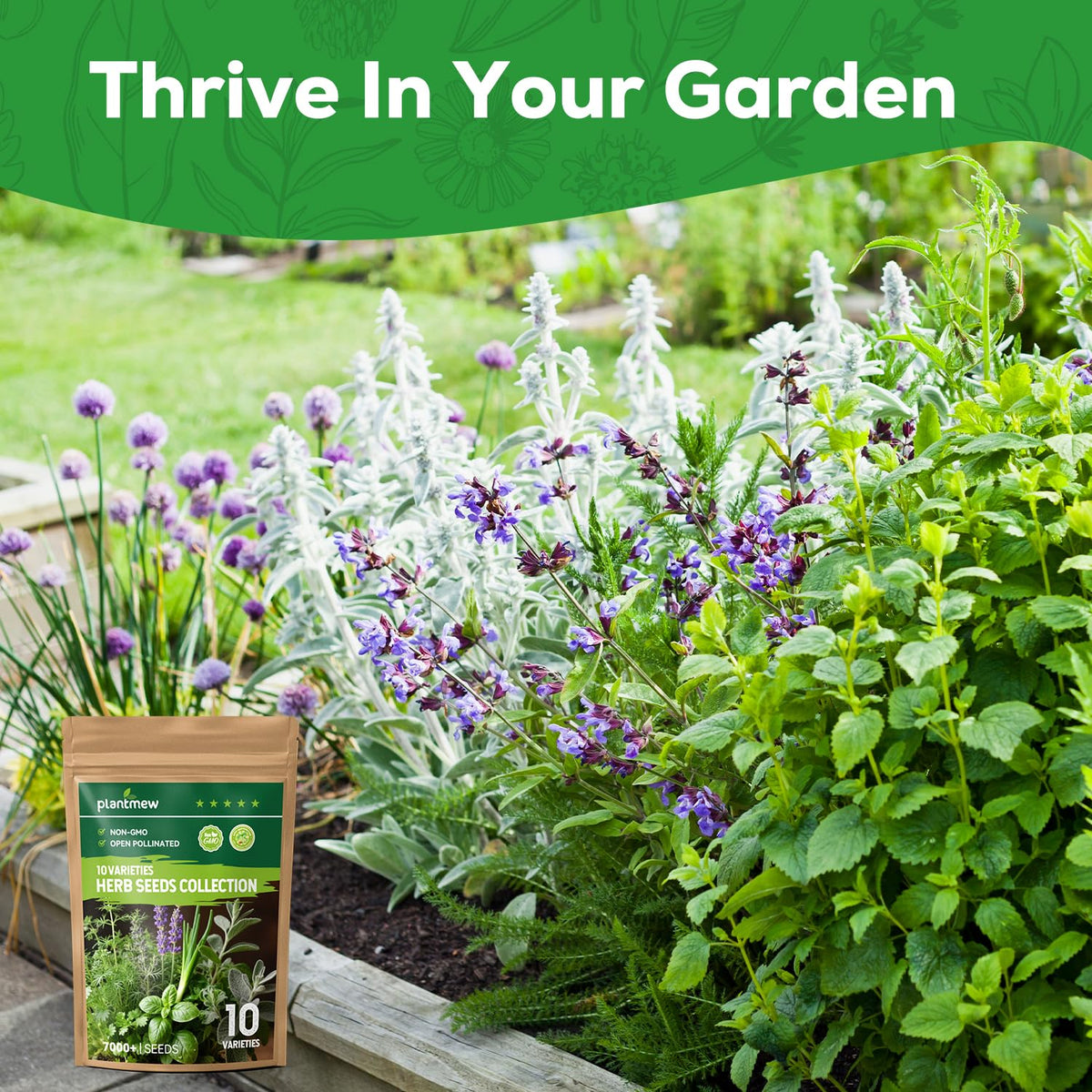 Boost your gardening with the Herb Seeds Variety Pack from Curat Cart, perfect for cultivating fresh herbs at home.