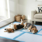 Extra Large Dog Pee Pads showcased with two relaxed beagles, highlighting high-quality material and official packaging from Curat Cart.