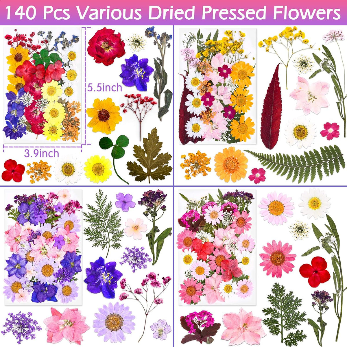 Premium imported dried pressed flowers set, featuring 140 pieces for resin crafts. Perfect for creative projects.