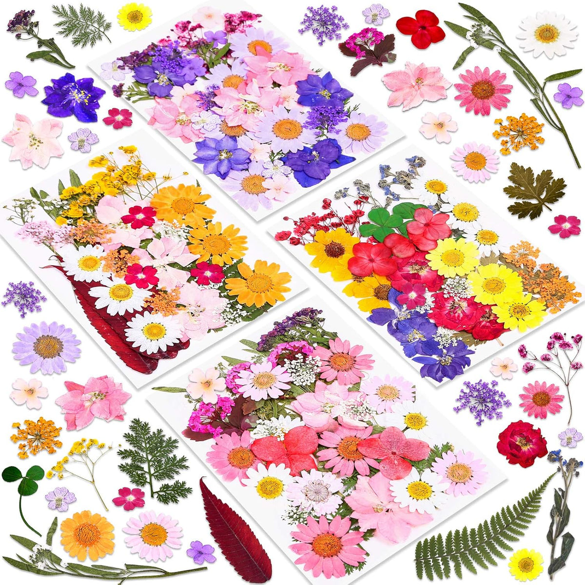 Premium imported dried pressed flowers for resin art. Perfect for crafting and decor projects. Add natural beauty!