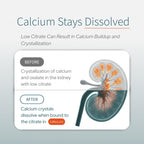 Water & Beverage Enhancer for Kidney Health shows calcium dissolution benefits. Official packaging from Curat Cart ensures premium quality.