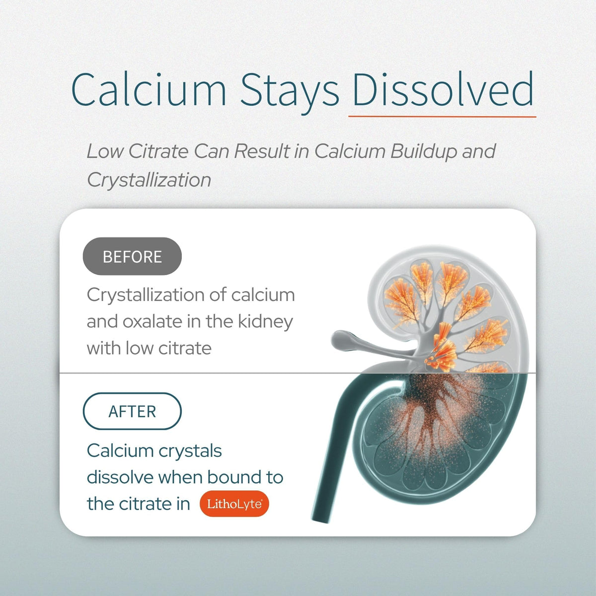 Water & Beverage Enhancer for Kidney Health shows calcium dissolution benefits. Official packaging from Curat Cart ensures premium quality.