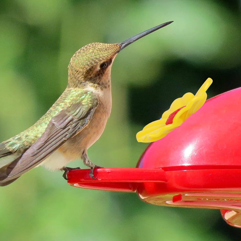 Enhance your garden with Hummingbird Feeders Replacement Flowers, perfect for attracting birds. Available at Curat Cart.