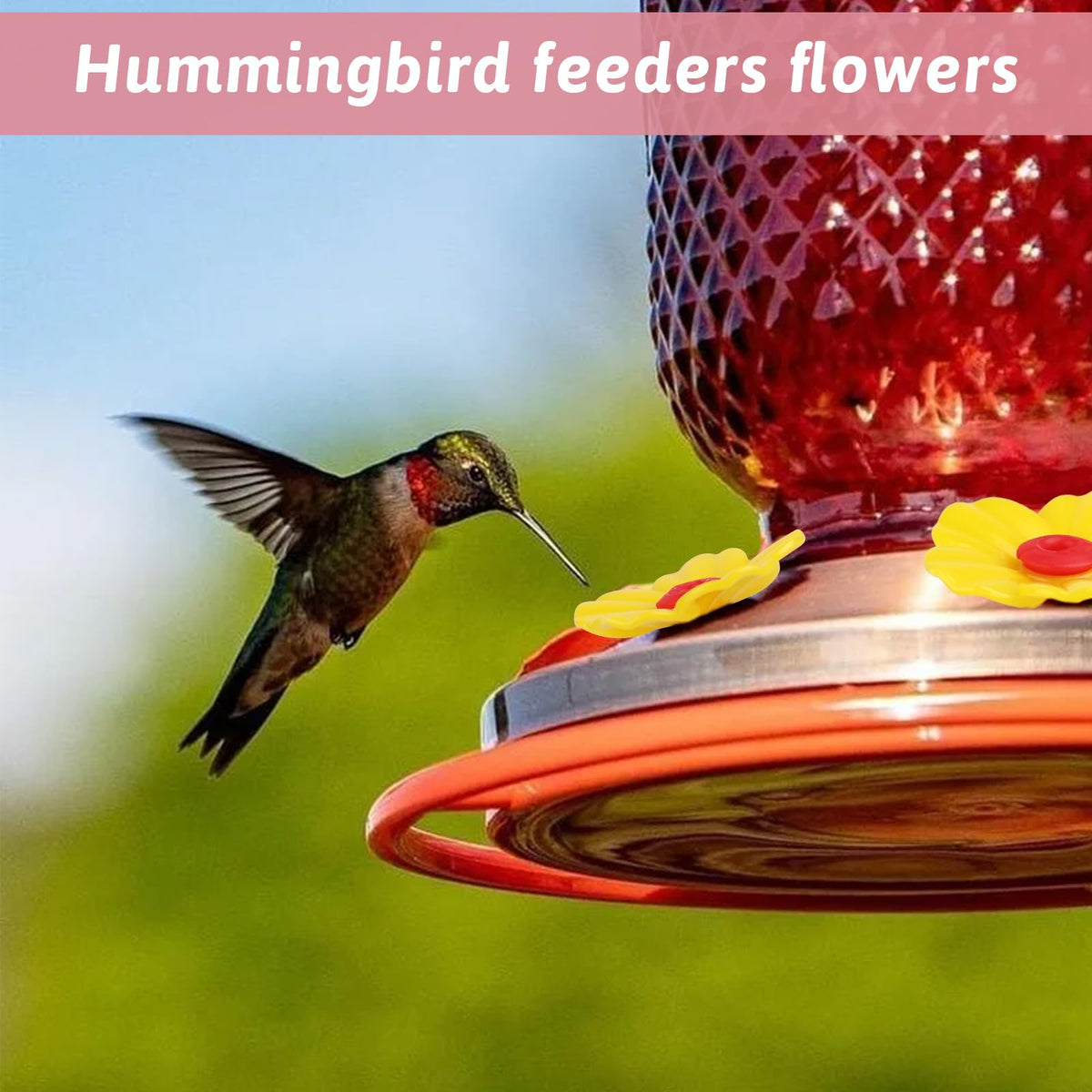 Enhance your garden with Hummingbird Feeders Replacement Flowers, available at Curat Cart. 100% Authentic and perfect for attracting hummingbirds.