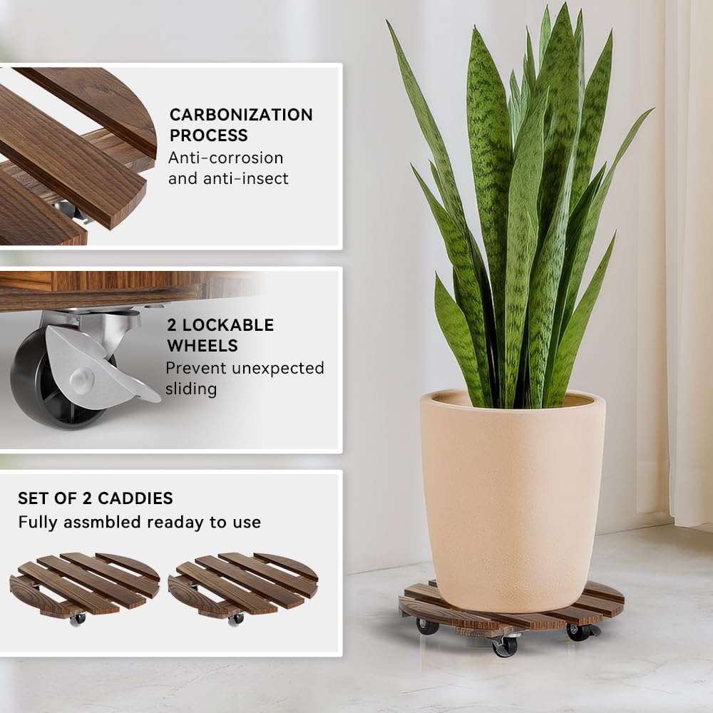 Discover the Wood Plant Caddy with Wheels, specially curated by Curat Cart, perfect for effortless mobility and style in your home.
