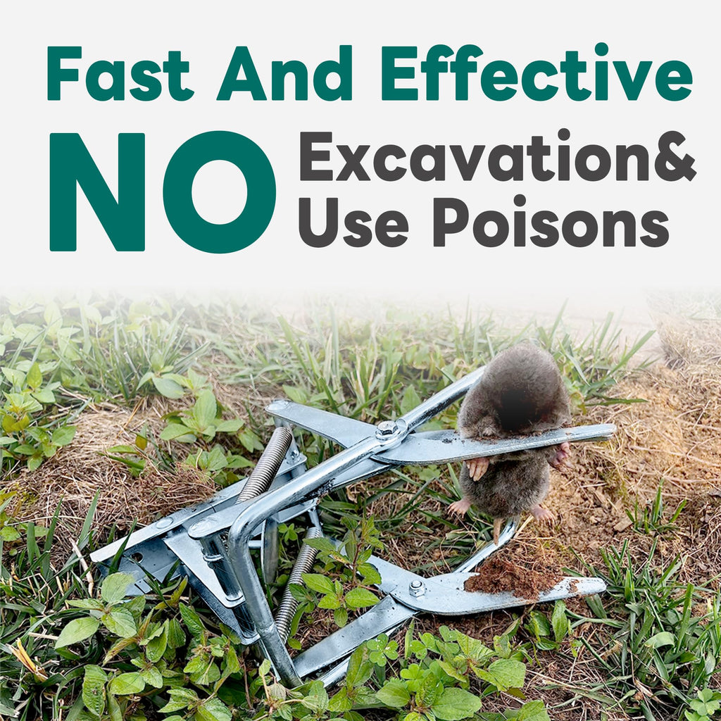 Discover the premium imported Mole Traps Galvanized Steel Scissor, designed for fast and effective pest control without poisons. Shop at Curat Cart.