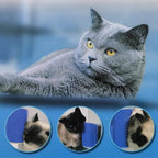 Softer Self Groomer with Catnip, specially curated by Curat Cart, ensures a delightful grooming experience for your cat.