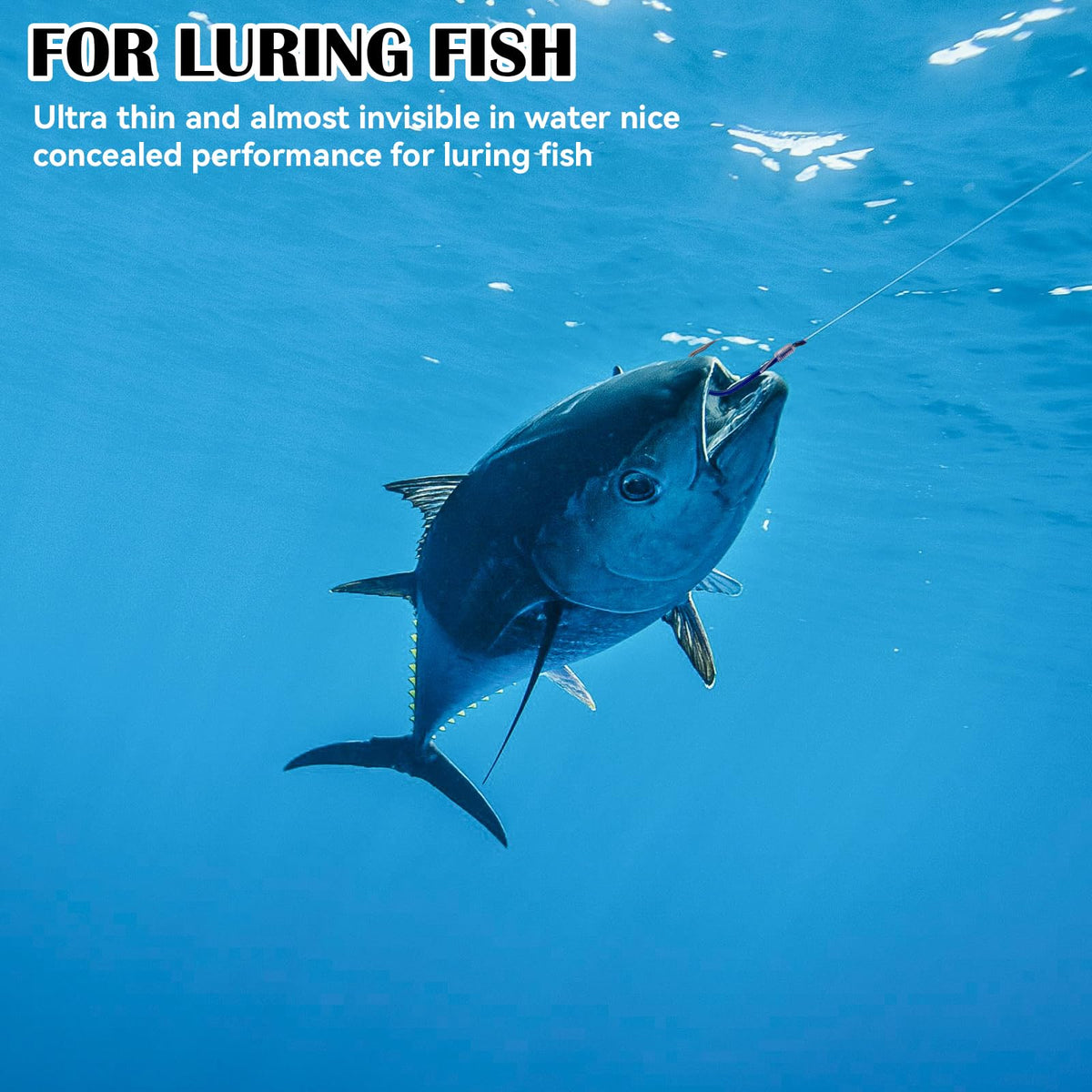 Invisible Fishing Bait Elastic Thread enhances your fishing experience with its ultra-thin design, perfect for luring fish. Available at Curat Cart.