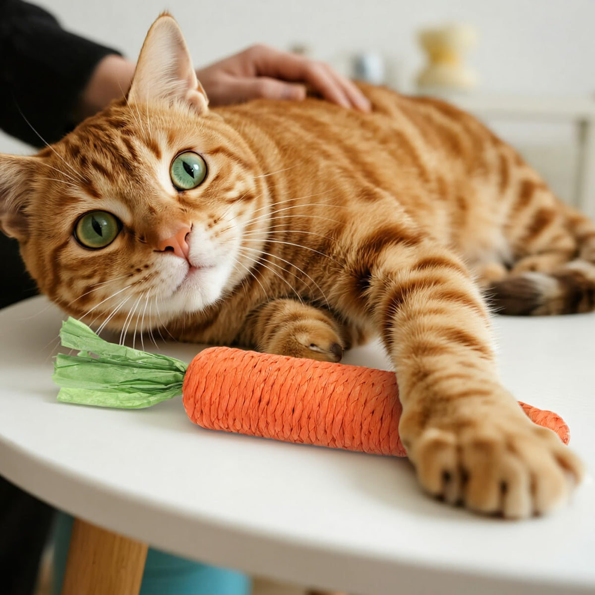 Vibrant kitten teething toy in official packaging from Curat Cart, crafted for playful dental relief for your cat. Perfect for teething kittens.
