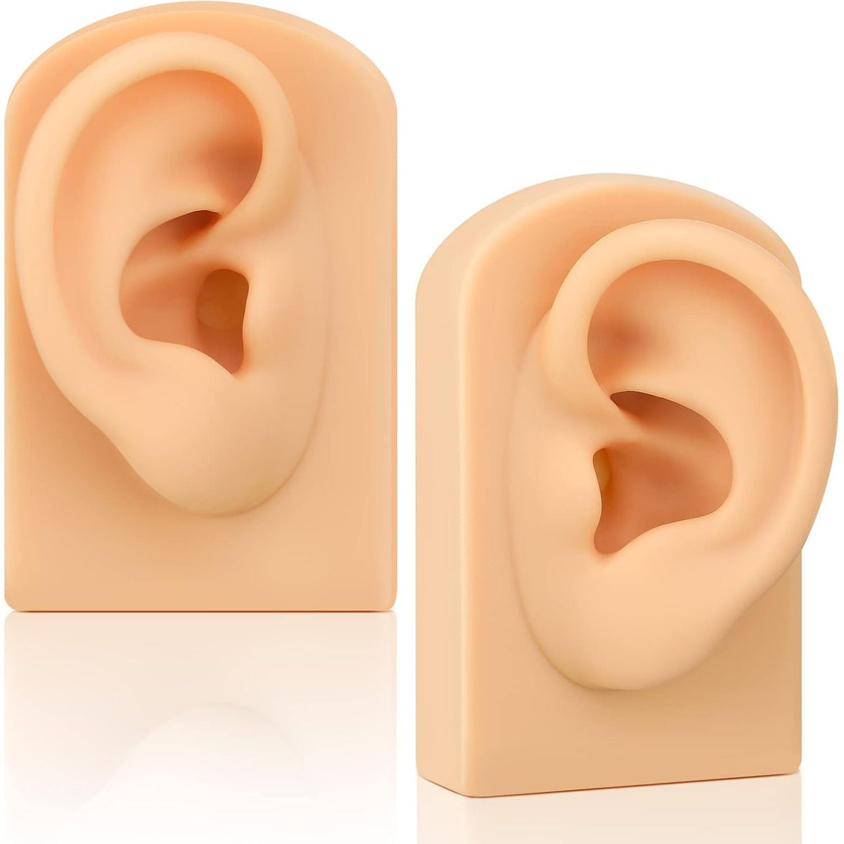 Authentic silicone ear models for jewelry display, perfect for showcasing earrings and other accessories.