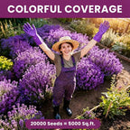 Transform your garden with Creeping Thyme Seeds Ground Cover from Curat Cart, covering 5000 sq. ft. Perfect for lush landscaping.