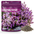 Premium imported Creeping Thyme Seeds from Curat Cart, ideal for lush ground cover with vibrant blooms. Enhance your garden today.