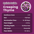 Specially curated by Curat Cart, this Creeping Thyme Seeds guide highlights growth conditions, ensuring optimal planting success in India.