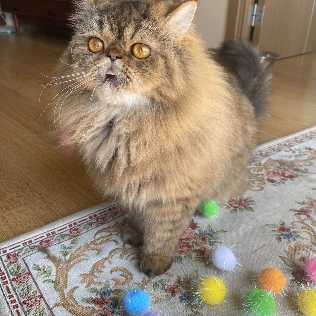 Discover the Extra Large Cat Chase Glitter Ball Toy, specially curated by Curat Cart for playful feline fun. Perfect for engaging your cat.