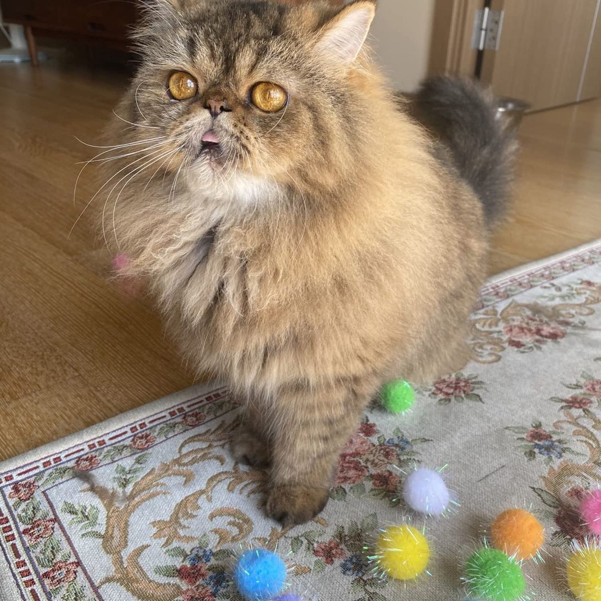Discover the Extra Large Cat Chase Glitter Ball Toy, specially curated by Curat Cart for playful feline fun. Perfect for engaging your cat.