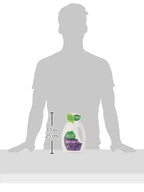 Buy now Seventh Generation Liquid Laundry Detergent, Fresh Lavender scent, 50 oz, 33 loads (Packaging May Vary) at indiglob india