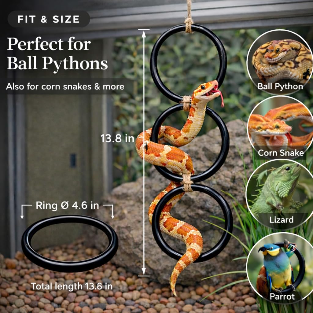 Premium Snake Climbing Rings for Python, specially curated by Curat Cart, ideal for enriching your pet's habitat. Perfect for ball pythons.