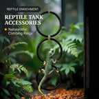 Enhance your reptile's habitat with Snake Climbing Rings for Python, perfect for daily exercise. Available at Curat Cart.