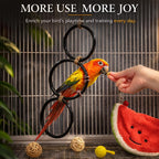 Enhance your pet's playtime with premium imported Snake Climbing Rings for Python, available at Curat Cart. Perfect for training and fun.