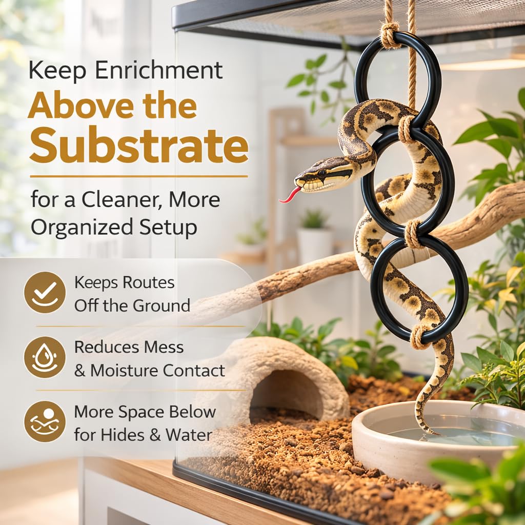 Discover Snake Climbing Rings for Python, specially curated by Curat Cart for an organized and cleaner habitat. Enhance your pet's space.