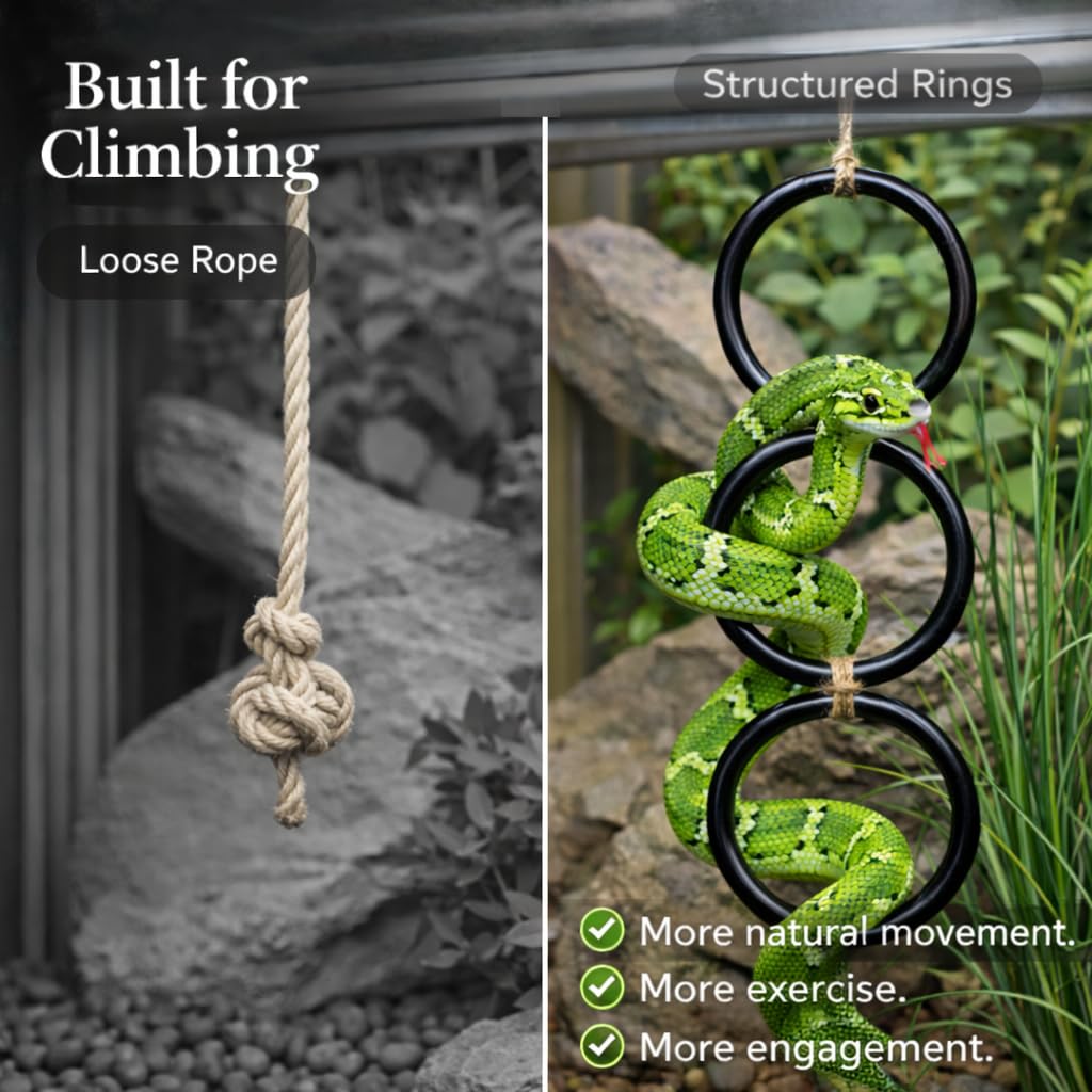 Snake Climbing Rings for Python in high-quality finish, designed for natural movement and engagement. Available at Curat Cart.