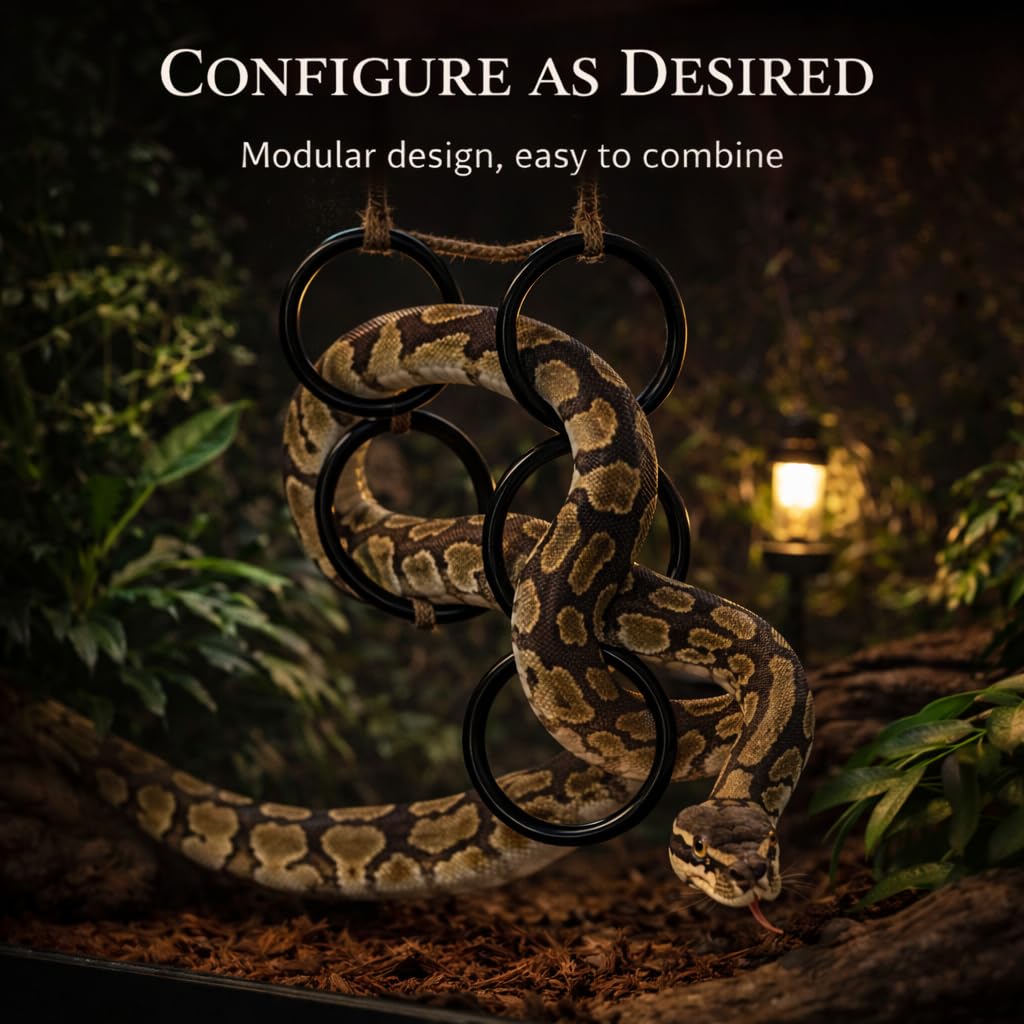 Snake Climbing Rings for Python in high-quality finish, showcasing modular design. Available at Curat Cart for versatile setups.