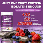 Whey Protein Gummies with 12g Protein, 2g Creatine, and Collagen, 100% Authentic, available at Curat Cart.
