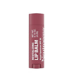 Buy now Neutrogena Revitalizing Tinted Lip Balm with SPF 20, Hydrating Tinted Lip Care with Sunscreen, Moisturizing Sheer Tint for Softer, Healthier-Looking Lips, Sheer Fresh Plum 60, 0.15 oz at indiglob india