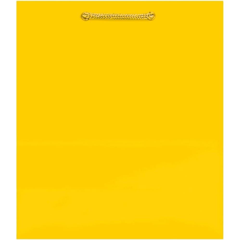 Buy now Vibrant Solid Glossy Medium Bag - 9.5"H x 7.75"W x 4.5" (1 Pc.) - Sturdy, Eye-Catching & Eco-Friendly - Ideal for Events, Celebrations & Gifting, Black Yellow Sunshine at indiglob india