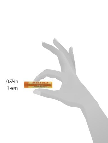 Buy now Burt's Bees Lip Balm - Mango, Lip Moisturizer With Responsibly Sourced Beeswax, Tint-Free, Natural Origin Conditioning Treatment, 2 Tubes, 0.15 oz. (Pack of 2) at indiglob india