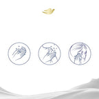 Buy now Dove Beauty Bar Gentle Skin Cleanser Moisturizing For Gentle Soft Skin Care Shea Butter More Moisturizing Than Bar Soap 3.75 oz 14 Bars at indiglob india