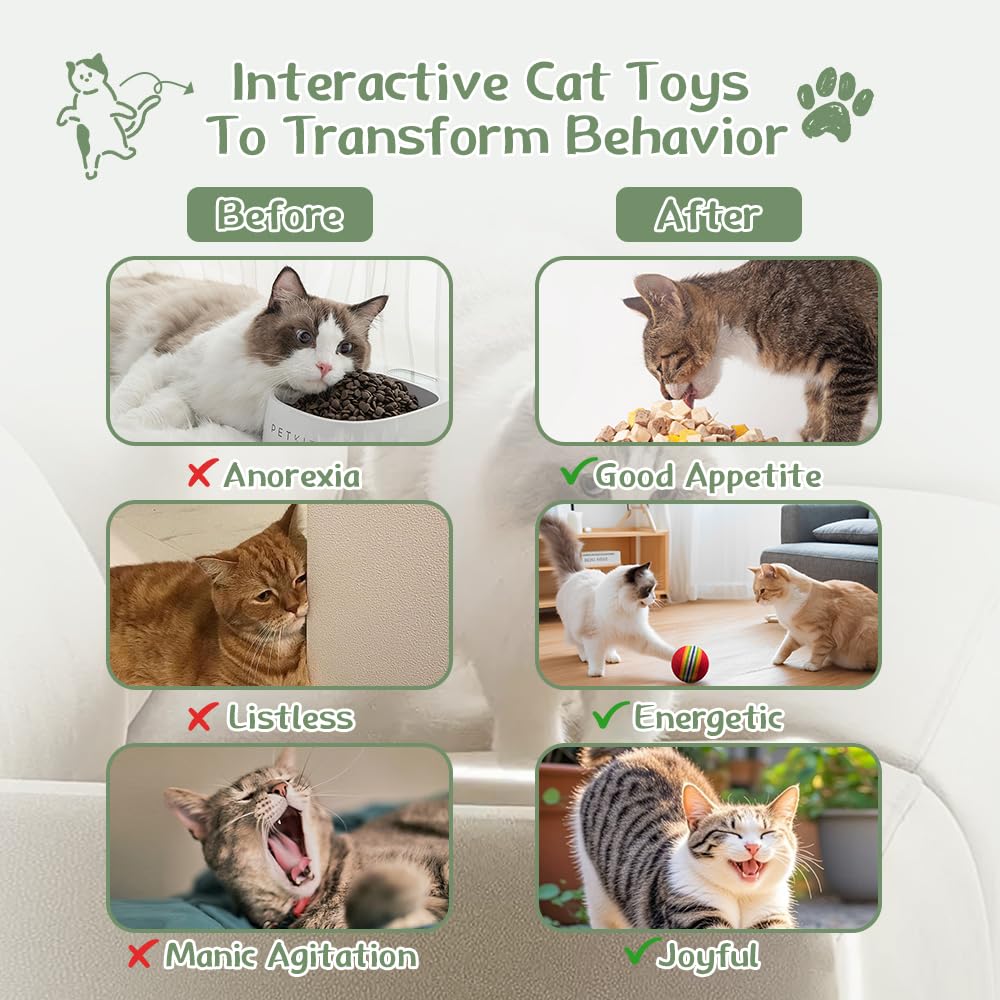 Transform your indoor cat's behavior with interactive cat toys from Curat Cart, 100% Authentic and available in India.
