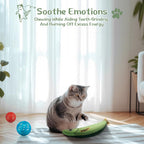 Engage your indoor cat with these fun cat toys, perfect for daily play and energy release. Available at Curat Cart.