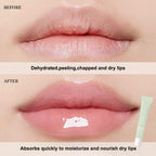 Transform dry, chapped lips with Lip Glossy Butter Nourishing Balm, specially curated by Curat Cart for ultimate hydration.