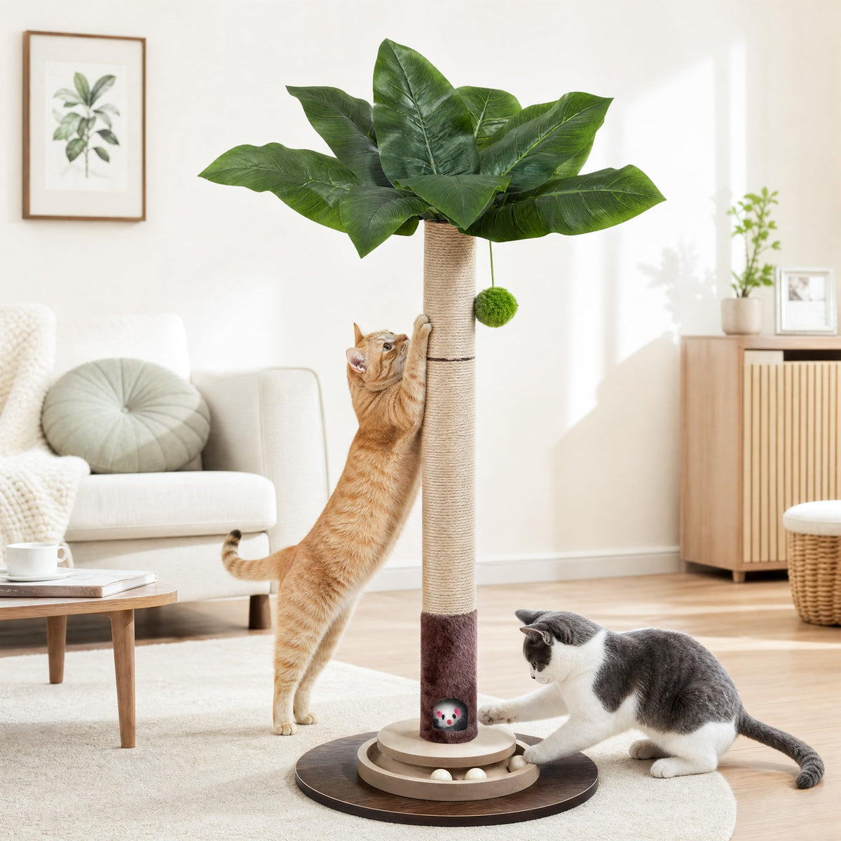 Premium imported Cat Scratching Post with natural sisal rope, perfect for playful cats. Available at Curat Cart.