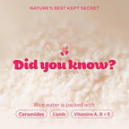 Buy now The Face Shop Rice Water Bright Light Facial Cleansing Oil, Daily Makeup Remover, Oil Cleanser, Vegan, Korean Skin Care with Jojoba Oil, Face Pore Cleanser, 150ml at indiglob india