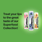 Buy now ChapStick Lip Balm, Superfood Collection 3-Pack – Dragon Fruit, Blueberry & Clover Honey, Moisturizer for Dry Lips, 0.15 Oz at indiglob india