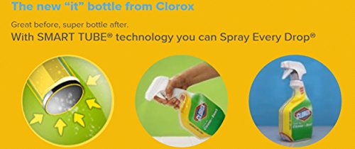 Buy now Clorox Clean-Up Bleach Cleaner Spray Value Pack at indiglob india