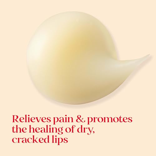 Buy now Burt's Bees Cold Sore Treatment and Medicated Lip Balm, With Menthol and Eucalyptus Oil, Natural Origin Skincare, 2 Tubes, 0.07 oz./0.15 oz. at indiglob india