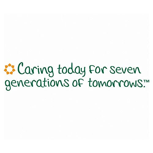 Buy now Seventh Generation Natural Automatic Dishwasher Gel, Lemon, 42 Oz Bottle at indiglob india