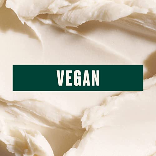 Buy now The Body Shop Coconut Body Butter – Nourishing & Moisturizing Skincare for Very Dry Skin – Vegan – 6.75 oz at indiglob india
