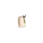 Buy now Yardley London English Lavender with Essential Oils Soap Bar, 4.25 oz Bar (Pack of 10) at indiglob india