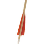Buy now Arrow Feather 4 Inch Shield Fletching Vanes for Wooden Carbon Bamboo Traditional Arrow(50 Pack) at indiglob india