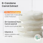Buy now SKINFOOD Carrot Carotene Toner Pads, Hydrating & Soothing for Dry Skin, Instant Cooling, After Sun & Heat Care, Cotton Facial Toner Pads, Korean Skincare for Face (60 Counts) at indiglob india