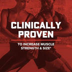Buy now GNC AMP Wheybolic Clinically Proven Protein Powder, 40g Whey Protein, BCAA, Leucine, Increases Muscle Strength, Muscle Building, 3rd Party Tested, Gluten Free, Classic Vanilla, 25 Servings at indiglob india