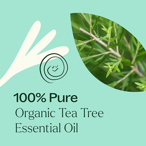 Buy now Plant Therapy Organic Tea Tree Oil (Melaleuca) 100% Pure, USDA Certified Organic, Undiluted, Natural Aromatherapy, Therapeutic Grade 30 mL (1 oz) at indiglob india