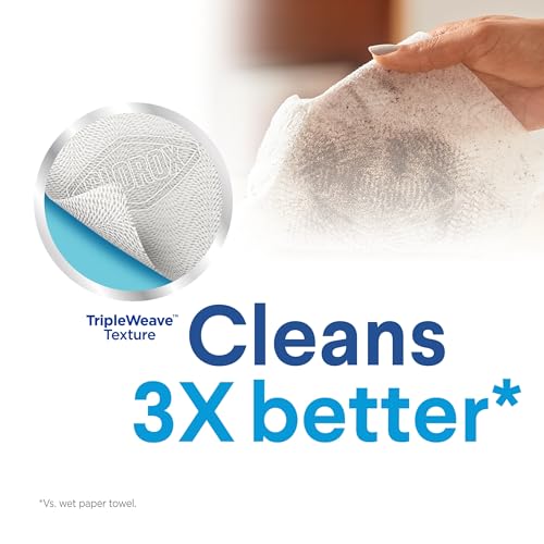 Buy now Clorox 30112 Disinfecting Wipe, Fresh/Lemon Fresh Scent (525 Count) at indiglob india