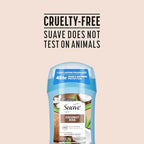 Buy now Suave Antiperspirant Deodorant for Women, Coconut Kiss 6-Pack â€“ Anti-Staining Invisible Solid Sticks, Talc-Free, 1.2 Oz Ea at indiglob india