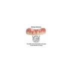 Buy now Instant Smile Comfort Fit Flex Natural Shade at indiglob india